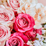 メゾンカカオ、MAISONCACAO、チョコレート、生チョコレート、薔薇、MERCI、ギフト、母の日