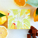 メゾンカカオ、MAISONCACAO、ギフト、アロマ生チョコレート、手土産、グリーンレモン、レモン、lemon、hero、ヒーロー