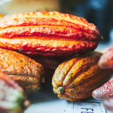 ショコラ・コキーユ "CLASSIC / クラシック"