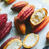 メゾンフルールショコラ ビター 5枚入り