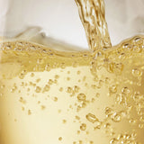 2023【クリスマス限定】生チョコレート Noel "CHAMPAGNE / シャンパン"