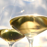 【期間限定】生チョコレート"CHARDONNAY / シャルドネ"