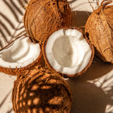 BANK BonBon パインココナッツ