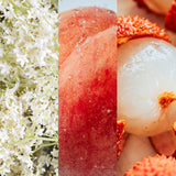 生チョコレート2個ボックス "MAISON & VOYAGE"