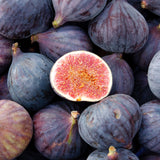 【期間限定】生チョコレート2個ボックス  CARAMEL & FIG