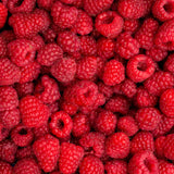 【クリスマス限定】生チョコレート2個ボックス NOEL & SNOW