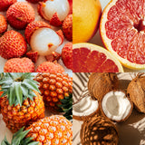 【放映記念】ハーモニーセット