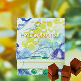 メゾンカカオ、MAISONCACAO、ギフト、アロマ生チョコレート、手土産、プチギフト、ギフト、2024、シンフォニー、Symphony、hyuganatsu、日向夏、柑橘