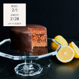 【数量限定】MAISON SPÉCIALITÉ 生ザッハトルテ・日向夏