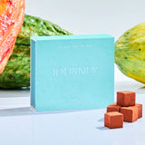 生チョコレート"JOURNEY / ミルク"