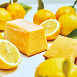 【期間限定】MAISON CAKE レモン