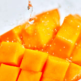 MAISON CACAO EXCLUSIVE ショコラ・コキーユ マンゴーパッション