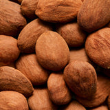 【期間限定】生ガトーショコラ & 生チョコレートISLAND セット