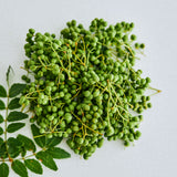 ハナレモナカ 山椒 5個入り