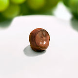 2025 ショコラ・コキーユ "MUSCAT / マスカット"