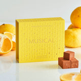 【期間限定】生ガトーショコラ & MUSICAL生チョコレート2種 BOX