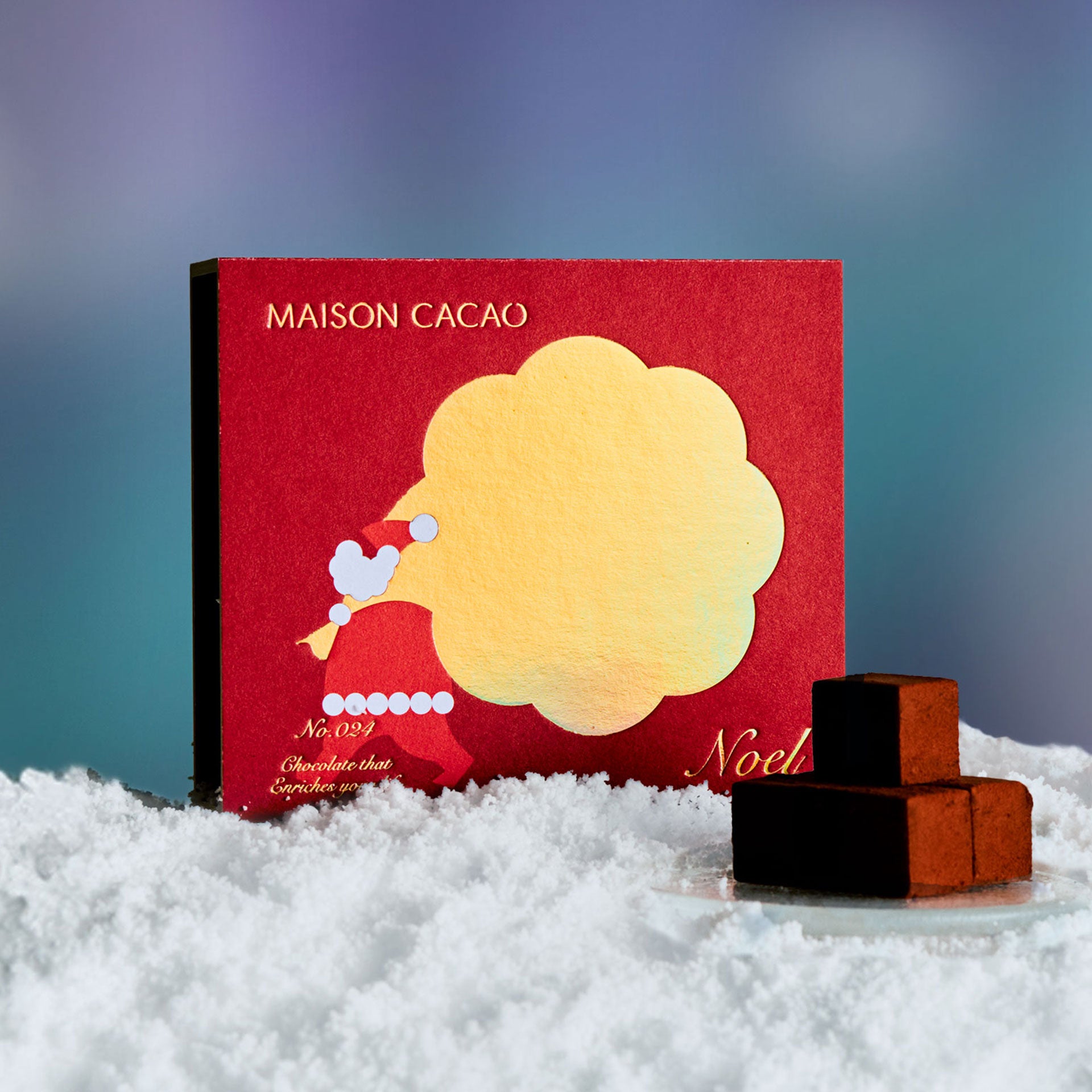 クリスマス限定】生チョコレート 