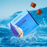 【期間限定】生チョコレート "OCEAN / キャンベルアーリー"