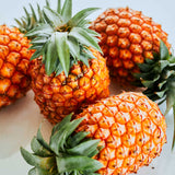 BANK BonBon パインココナッツ