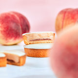 MAISOMCACAO、メゾンカカオ、チョコレート、桃、もも、タルト、リッチ生チョコタルト