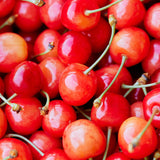 【期間限定】ハナレモナカ さくらんぼ 5個入り