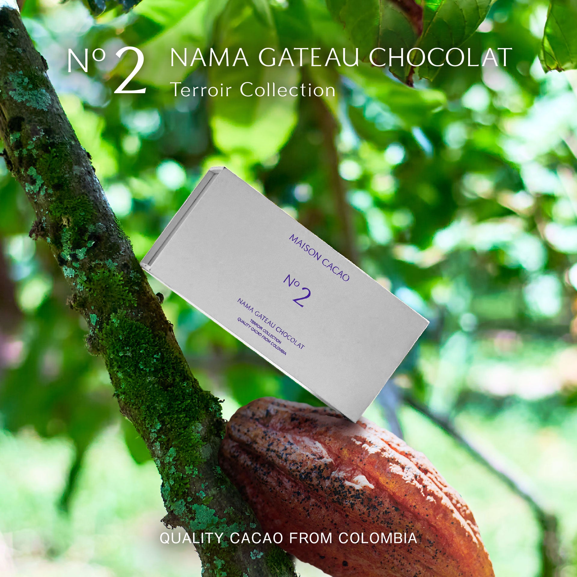 2025【数量限定】生ガトーショコラ Terroir Collection No.2｜メゾン
