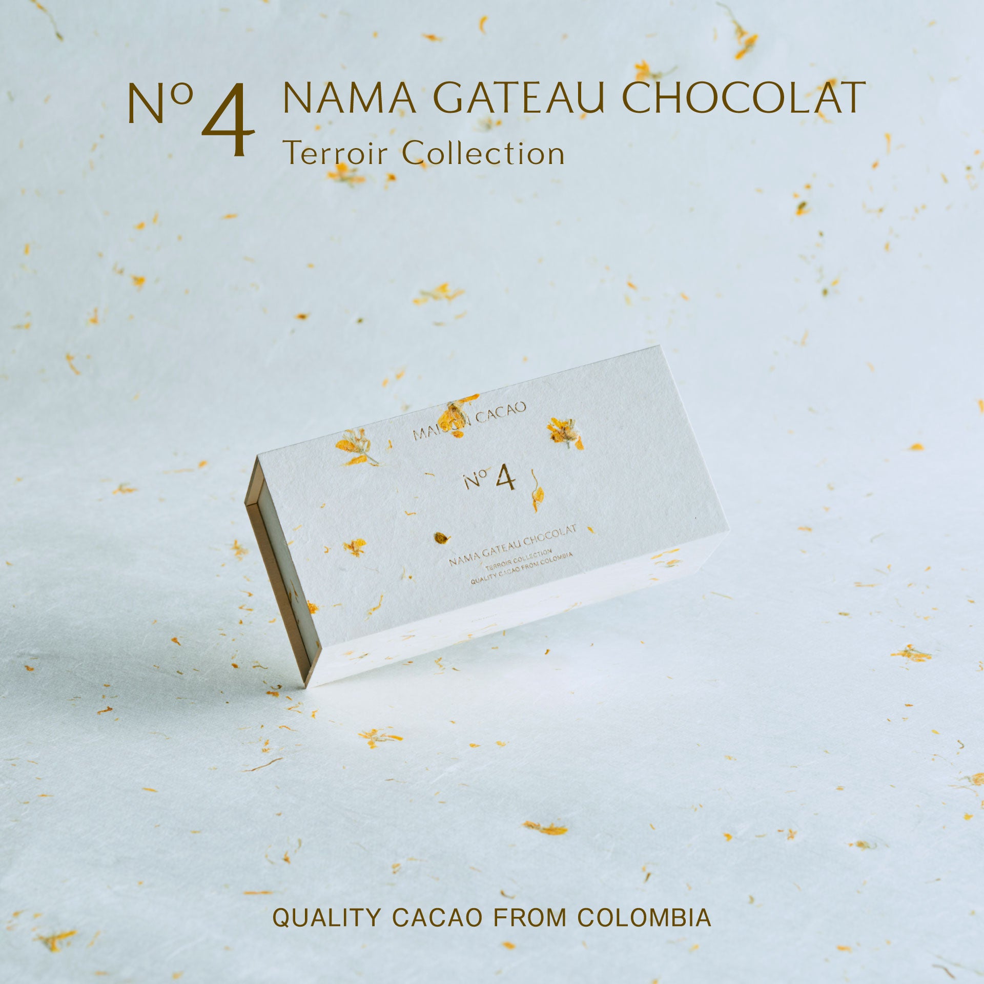 数量限定】生ガトーショコラ Terroir Collection No.4｜メゾンカカオ