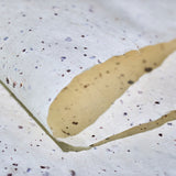 【数量限定】生ガトーショコラ Terroir Collection No.9