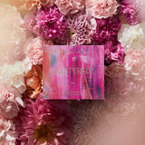 メゾンカカオ、MAISONCACAO、チョコレート、生チョコレート、バレンタイン、4種セット、鎌倉、通販