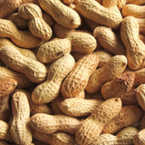 生チョコレート"RHYTHM"(ピーナッツ)