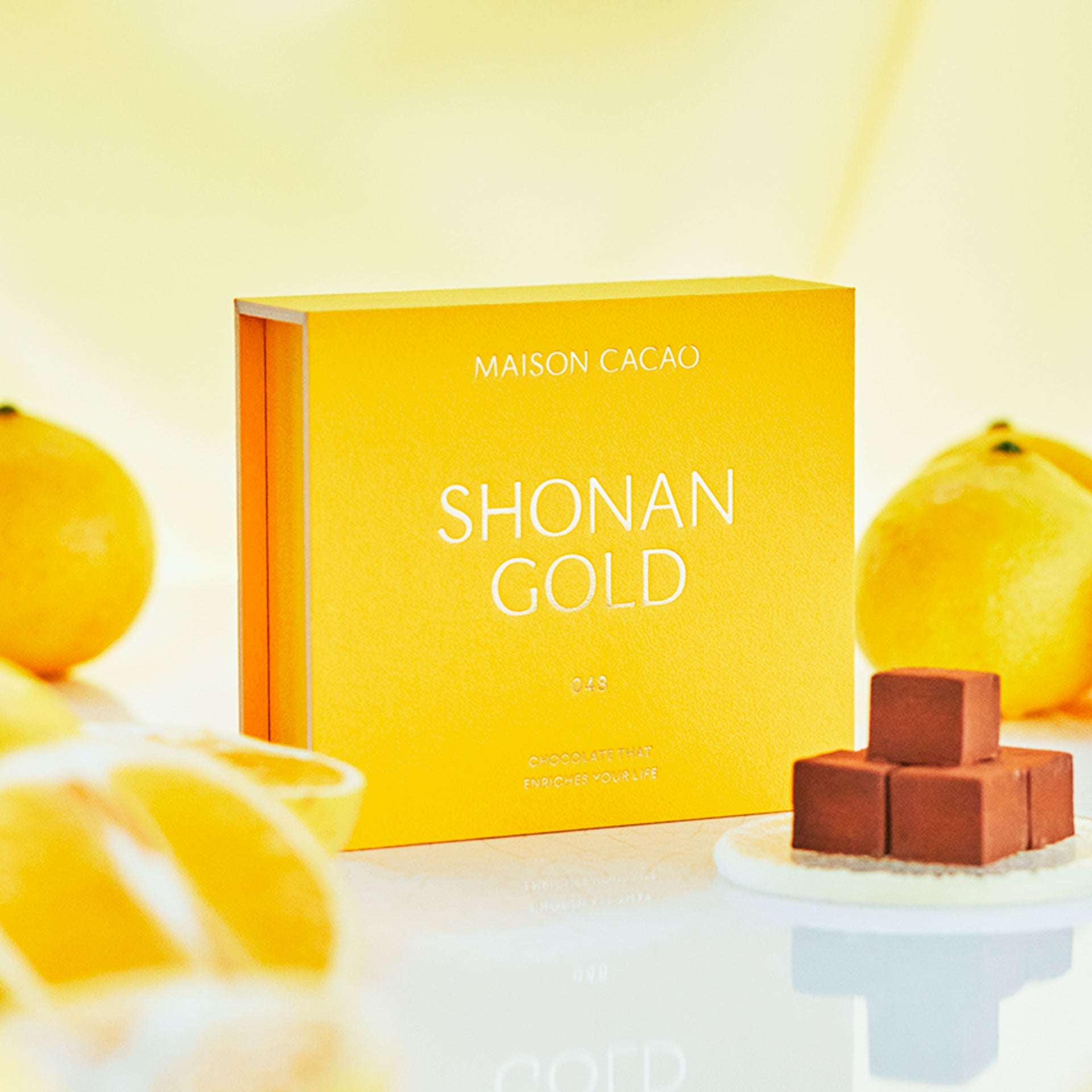 最終値下げ☆カレン ホイプティング「チョコレート ドッグ」 shonangold_image_2_1920.jpg?v=