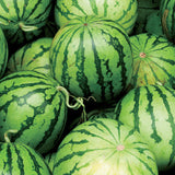 【期間限定】アロマ生チョコレート "SUIKA / スイカ "