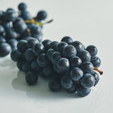 【期間限定】生チョコレート "OCEAN / キャンベルアーリー"