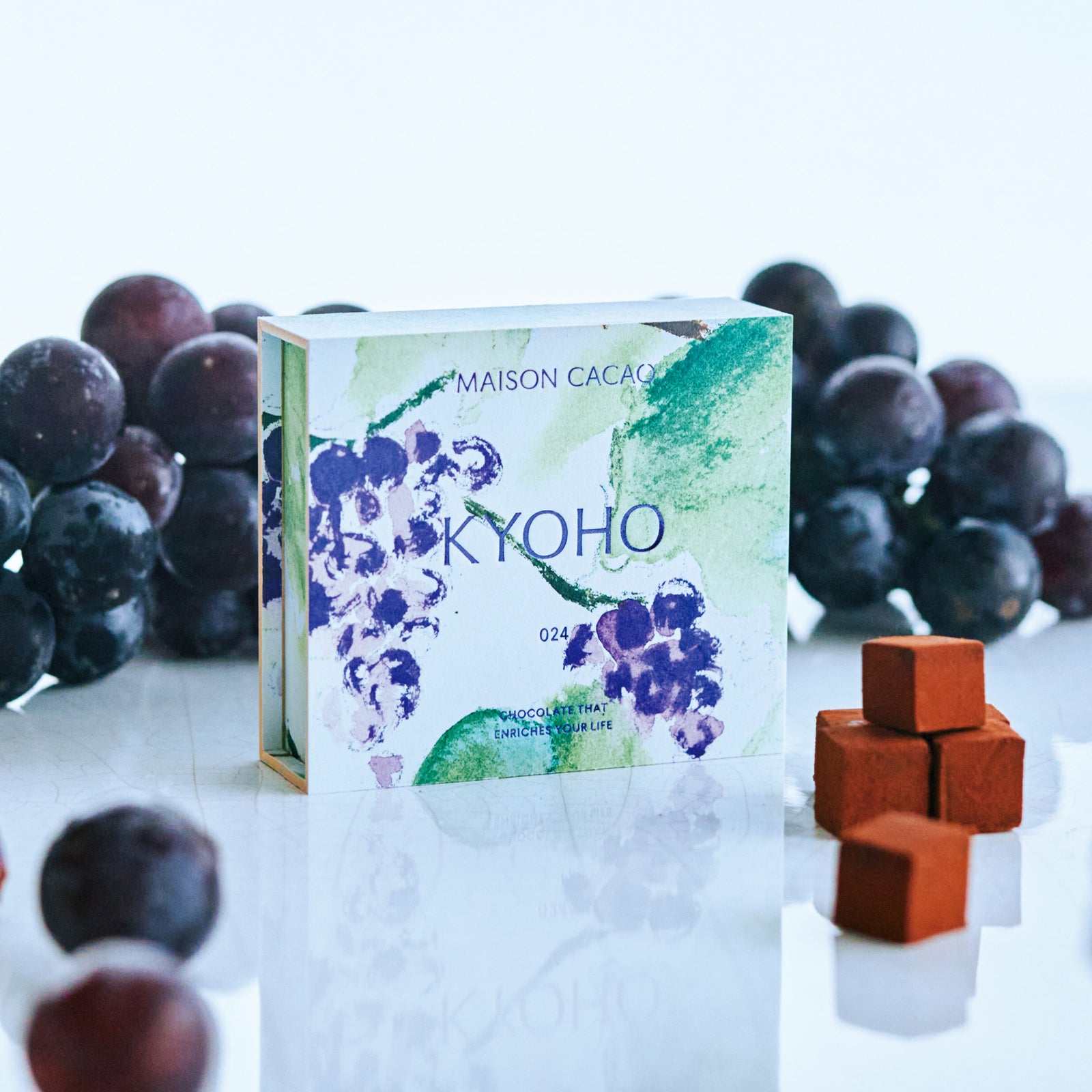 230721_cacao13936_1920_1600x.