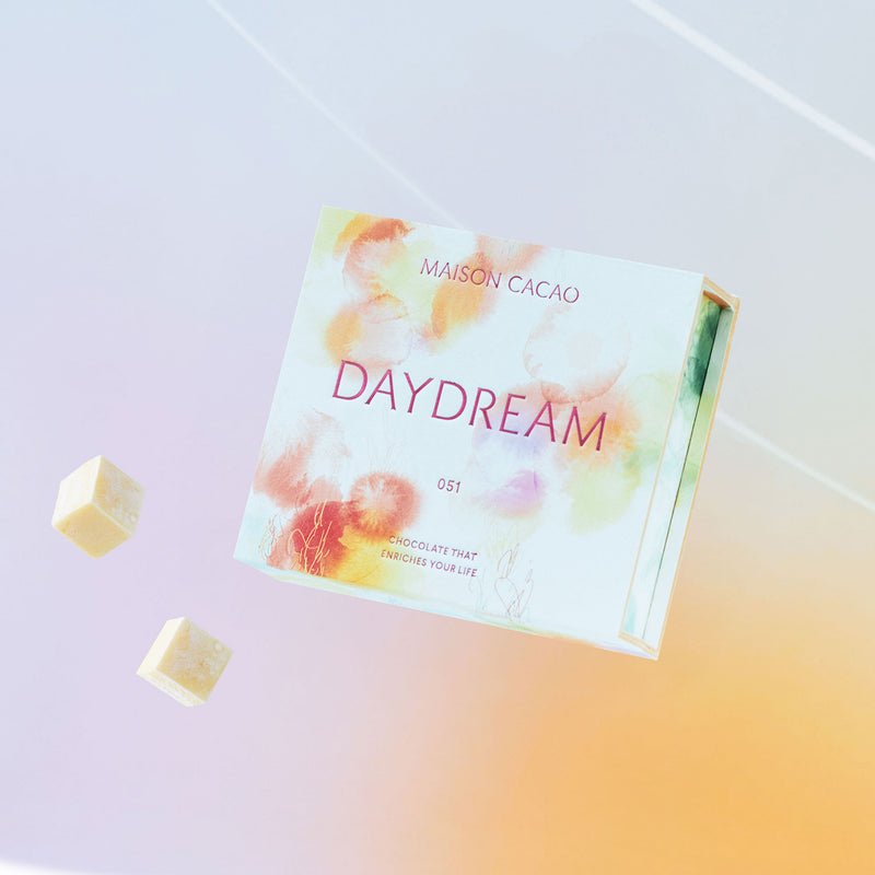 生チョコレート2個セット"DAYDREAM & HARMONY"