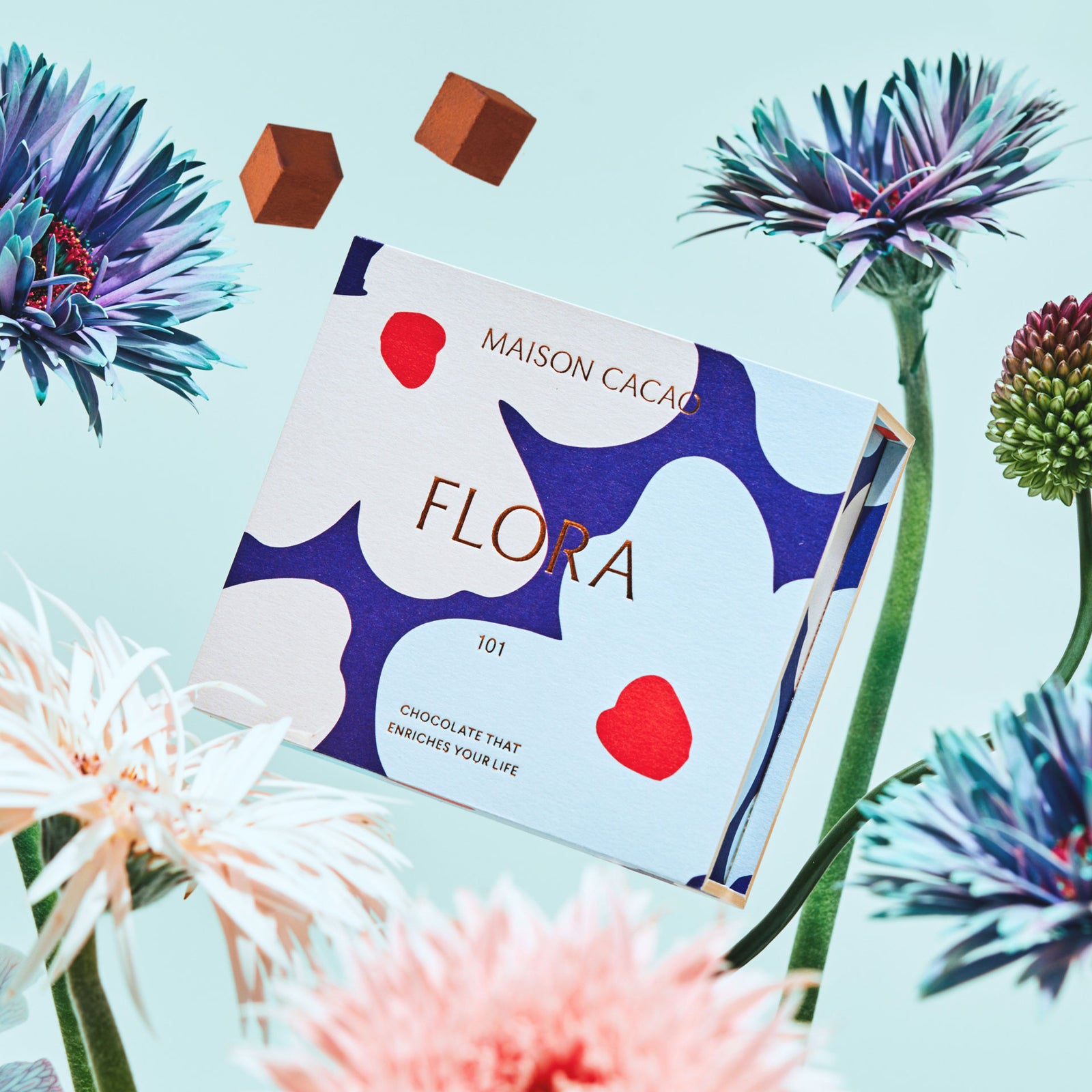 期間限定】生チョコレート