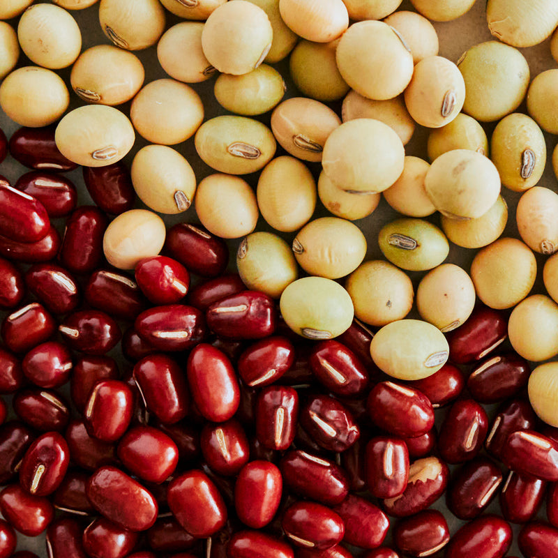 謹賀新年】生チョコレート