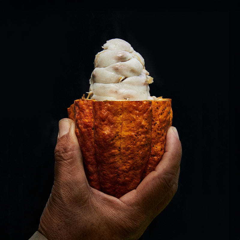 生チョコレート "APPLAUSE / ビター"