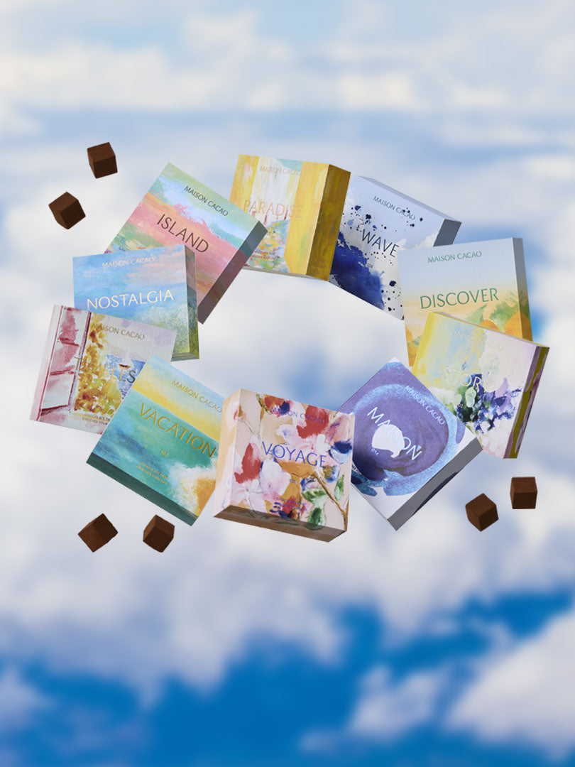BON VOYAGE COLLECTION 生チョコレート 全10種セット
