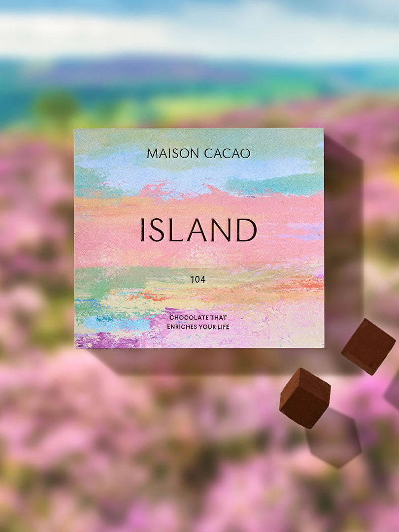 生チョコレート