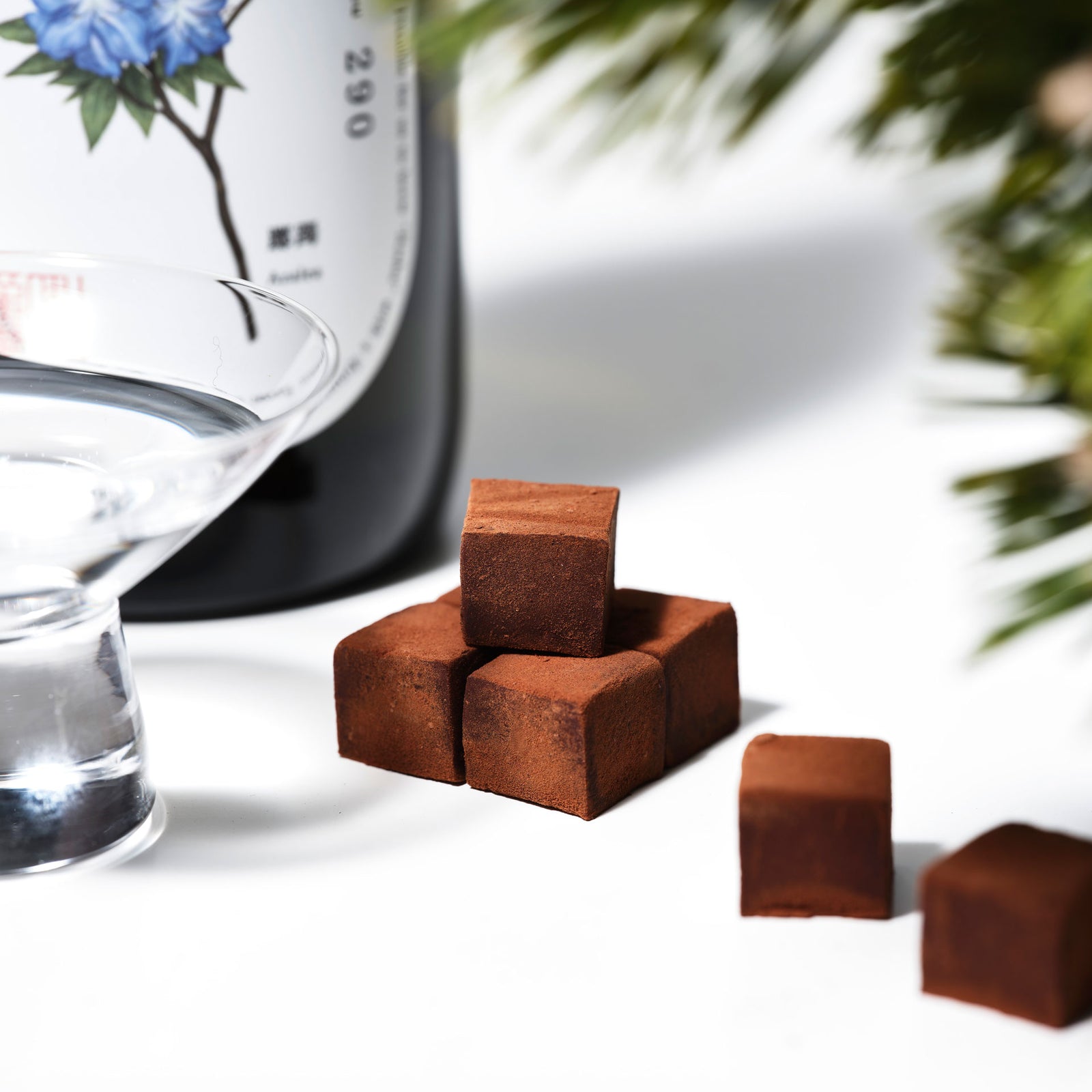 ココア味　1箱 ストロベリー1箱　シェーカー付 nama-chocolate-rishu-290-