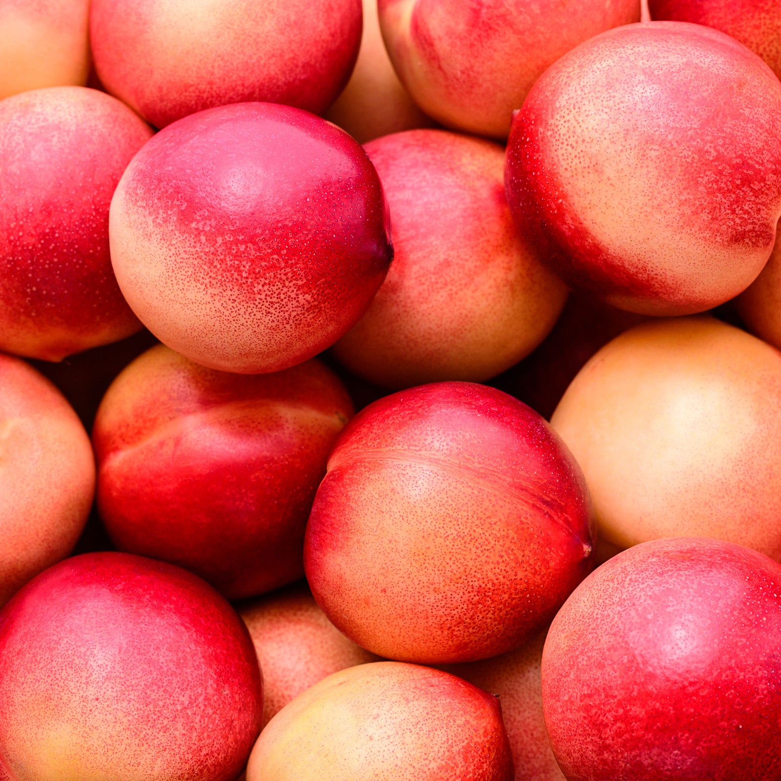 生チョコレート