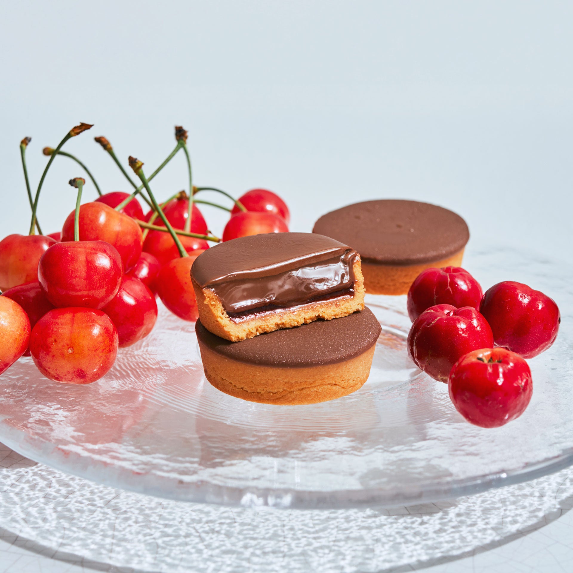 期間限定】リッチ生チョコタルト アセローラチェリー3個｜メゾンカカオ