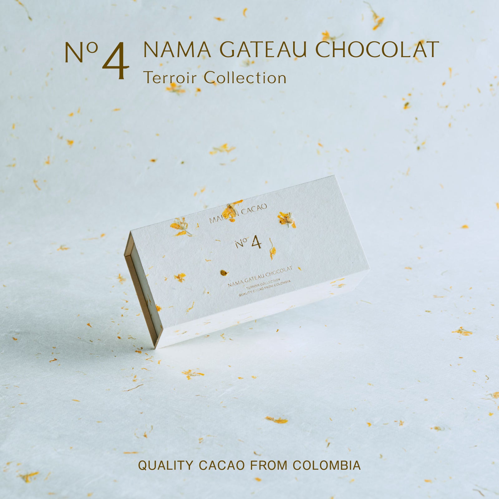 数量限定】生ガトーショコラ Terroir Collection No.4｜メゾンカカオ